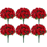 Der Rose red geraniums 12-pack with full blooms for lush window boxes.