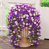Dolicer look real outdoor flowers enhance curb appeal with zero upkeep