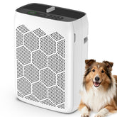 Domotrix JH22C purifies a large living room for spaces up to 2200 ftΒ².