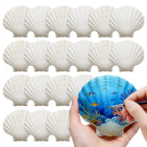 DOODLEBEAN large scallop shells 4-5 inch collection ideal for detailed painting