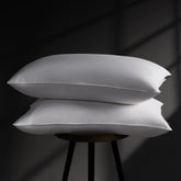 DOWNSTORIA goose-down pillow 2-pack packaging view for easy storage.