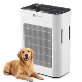 DR.PREPARE air purifier showing double side air intake for faster room refresh