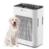 DR.PREPARE air purifier front view for large rooms with powerful intake.