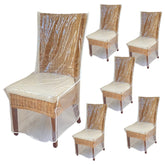 Evelots clear chair cover protecting a dining chair from spills and pet hair