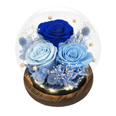 FIACO blue forever flowers in a glass dome for lasting display.