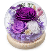 FIACO eternal-rose-dome with LED light showcasing long-lasting beauty.