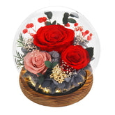 FIACO eternal rose under glass dome showcases preserved beauty for years.