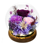 FIACO Forever Rose in glass dome display with natural color and glow