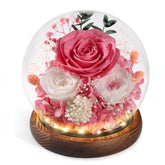 FIACO preserved rose under glass dome with pink petals for lasting beauty.