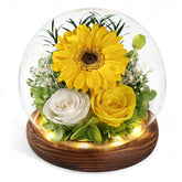FIACO preserved sunflowers and roses in a glass dome for lasting brightness in any room.