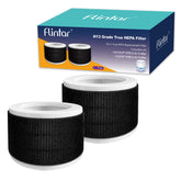 Flintar EPI810 replacement filter two-pack ready for quick swaps