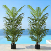 FloraFairy 6ft tall palm trees pack for year-round tropical decor.