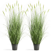 FloraFairy Horsetail Grass with green spikes adds natural color to indoor spaces.