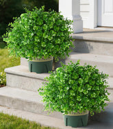Florisso 2-pack artificial boxwood topiary trees at the front door for curb appeal.