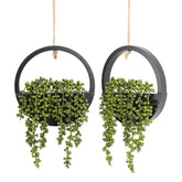 Floweroyal hanging succulents display a 12.2-inch length for versatile indoor or outdoor decor.