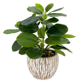 FLRLIVING artificial potted plant in farmhouse cement planter adds rustic charm to any space