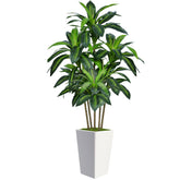 Flydeer dracaena tree in a white planter for realistic indoor décor