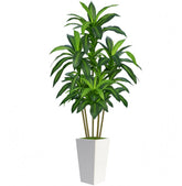 Flydeer 7ft dracaena tree in white planter adds lifelike greenery to living rooms