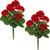 FOREST PRINCE 2-pack 18-inch red geraniums for outdoor planters with year-round color