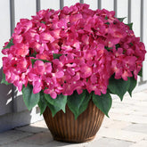 FOTEEWL 8-bundle Rose Red hydrangea for outdoor front door decor.