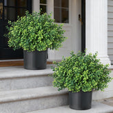 The FOTEEWL boxwood topiary at the front door adds instant curb appeal.
