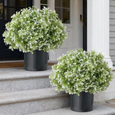 FOTEEWL artificial boxwood topiary trees for front door; maintenance-free curb appeal.