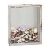FramePro small shadow box seashell collection displays keepsakes in a bright white frame