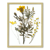 Frametory floating frame 11x14 with gold finish, great for stylish wall displays.