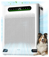 FreAire HAP605 front view for large-room purification up to 2,600 sq ft.