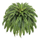 Galebeiren 50-inch artificial fern bouquet with 98 fronds for indoor and outdoor decor.