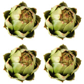 GiftYou 4-pack large green artichokes in front view for bright kitchen decor.