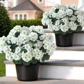 GLIDLION 2-pack artificial geranium topiary outdoors creates a lifelike welcome
