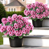 GLIDLION artificial geranium topiary pink front-door display for curb appeal