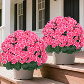 Grooy pink crabapple topiary ball outdoor 2-pack enhances curb appeal.