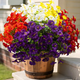 Grunyia 16-bundle morning glory with eucalyptus arrangement for outdoor spaces.