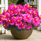 Grunyia artificial hibiscus close-up bloom shows vivid fuchsia petals with lifelike texture for outdoor decor.