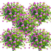 Grunyia purple eucalyptus outdoor shrub adds color to porch decoration