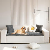 Gumfolk Pet Couch Cover on a sofa showcases durable protection against scratches and spills.