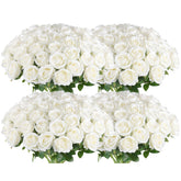 Hananona 50 stem white artificial roses for elegant bulk wedding dΓ©cor.