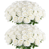 Hananona artificial roses bulk white pack in vivid velvet for elegant centerpieces.