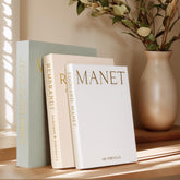 HeidMiduo decorative faux books on a coffee table provide stylish storage and ambience.