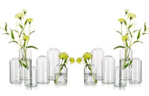 Hewory glass bud vase 12-pack for wedding centerpieces adds elegance.