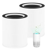 Hichoryer VK-6067B filter 2-pack for quick replacement.