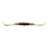 Hobby Lobby Longhorn wall decor in resin with distressed horns and floral details.