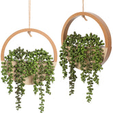 Hobyhoon string-of-pearls hanging plant offers maintenance-free wall beauty.