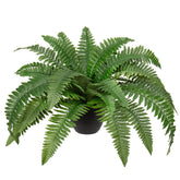 Hollyone fake Boston fern in pot adds year-round indoor greenery.