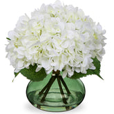 Hollyone White Hydrangeas in a glass vase add elegant, low-maintenance decor.