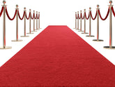 HOMBYS red carpet runner 450gsm thick for grand entrances