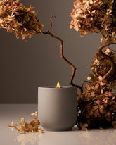 Homecourt Cece candle in a ceramic vessel for timeless ambience.