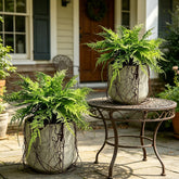 Hrobek 2-pack artificial hanging fern plants for vibrant outdoor and indoor decor.